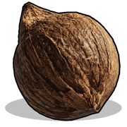 Chocolate Bar