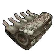 Spoiled Pork Meat
